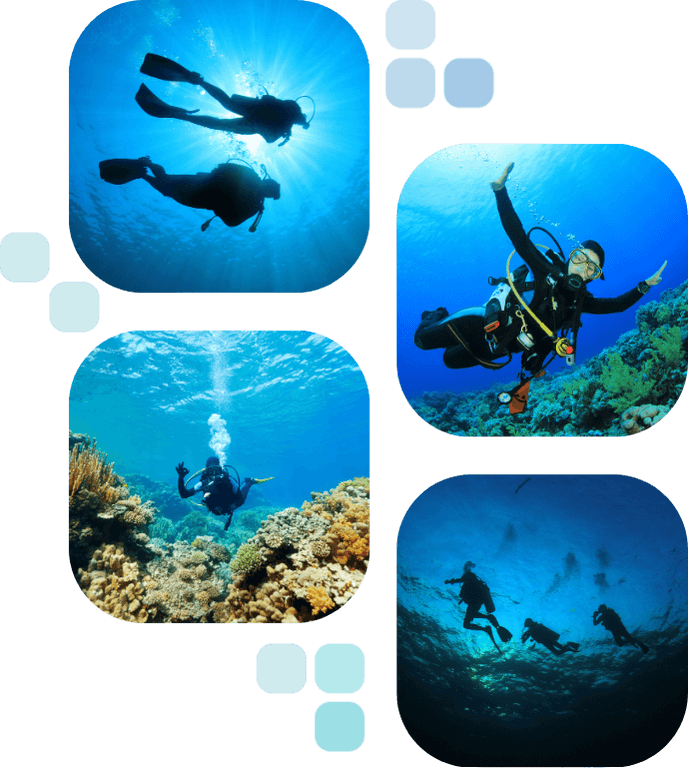 photo diving