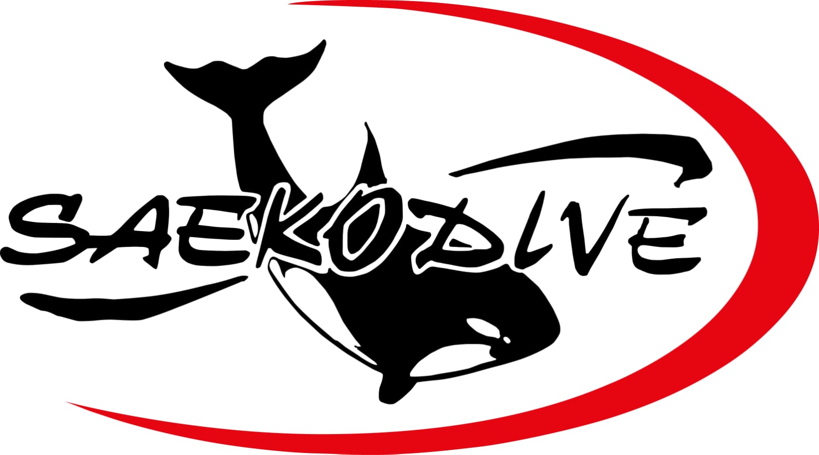 logo saekodive